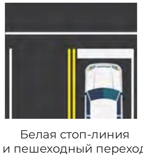 Stop line painted on the road lane before a crosswalk